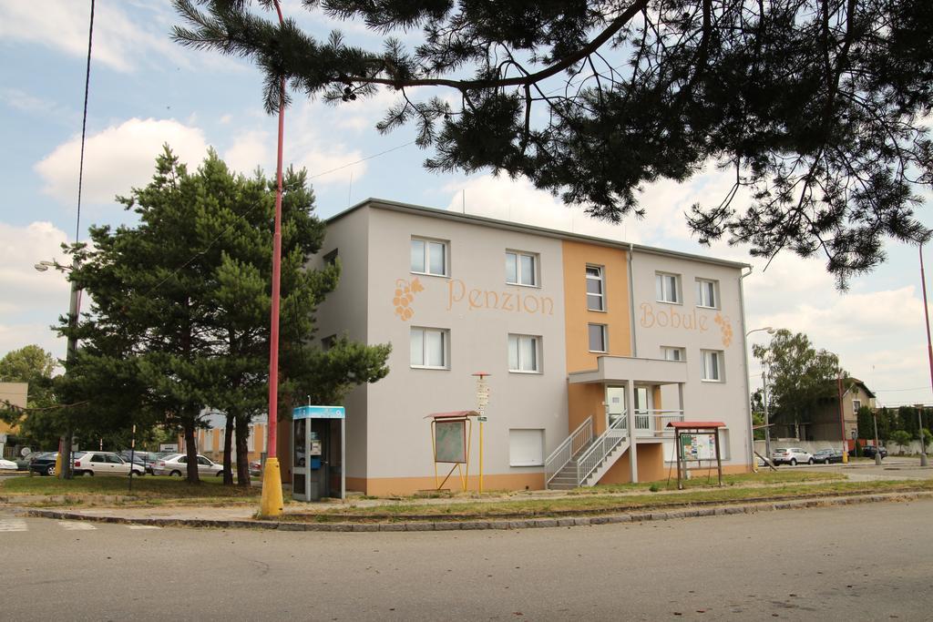 Penzion Bobule Stare Mesto  Екстериор снимка